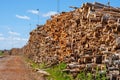Lot of timber in an industrial area Royalty Free Stock Photo