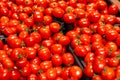 A lot of tomatoes in boxes in the store. Royalty Free Stock Photo