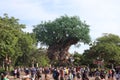 Lot of tourists looking at Tree of Life located in Disney Animal Kingdom US Royalty Free Stock Photo