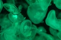 A lot of transparent green jellyfish on a black background Royalty Free Stock Photo
