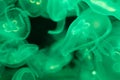 A lot of transparent light green jellyfish on a black background Royalty Free Stock Photo