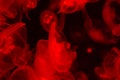 A lot of transparent red jellyfish on a black background Royalty Free Stock Photo