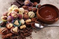 A lot of variety chocolate pralines, belgian confectionery gourmet chocolate.. Royalty Free Stock Photo