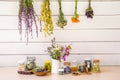 Lot of various herbal medicinal plants gathered and drying in room and dried herbs inside jars. Royalty Free Stock Photo