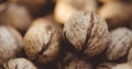 A lot of walnuts in the peel closeup Royalty Free Stock Photo