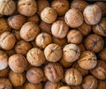a lot of walnuts Walnut closeup Royalty Free Stock Photo