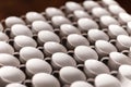 A lot of white coffee cups. Top view on many stacked in rows of empty clean white cups for tea or coffee. Royalty Free Stock Photo