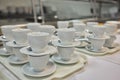 A lot of white coffee cups. Top view on many stacked in rows of empty clean white cups for tea or coffee. Royalty Free Stock Photo