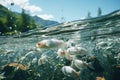 a lot of white river fish swim in shoals underwater in the river