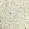 A lot of white sesame for background uses