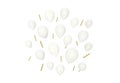 a lot of white stars balloons flying isolated on white