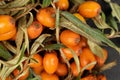 Sea buckthorn berry on grey stone