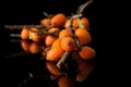 Sea buckthorn berry isolated on black glass