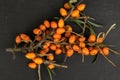 Sea buckthorn berry on grey stone