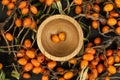 Sea buckthorn berry on grey stone