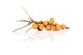 Sea buckthorn berry isolated on white