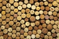 A lot of wine corks Royalty Free Stock Photo