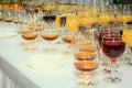 Lot of wine glasses with alcoholic drinks on the Royalty Free Stock Photo