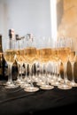A lot of wine glasses with a cool delicious champagne or white wine at the bar. Alcohol background Royalty Free Stock Photo