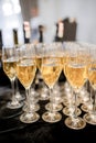 A lot of wine glasses with a cool delicious champagne or white wine at the bar. Alcohol background Royalty Free Stock Photo