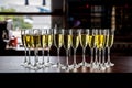 A lot of wine glasses with a cool delicious champagne or white wine at the bar Royalty Free Stock Photo