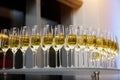 A lot of wine glasses with a cool delicious champagne or white wine at event Royalty Free Stock Photo