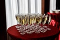 A lot of wine glasses with a cool delicious champagne or white wine at the event catering. Royalty Free Stock Photo