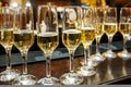 A lot of wine glasses with a cool delicious champagne or white wine