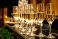 A lot of wine glasses with a cool delicious champagne or white wine Royalty Free Stock Photo