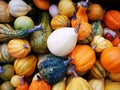 Winter squash with patterns colored in orange, yellow and white
