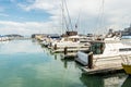 A lot of yachts parking in harbor at the Fisherman`s Wharf Pier 39 marina in San Francisco, California, United States of America