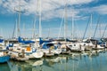 A lot of yachts parking in harbor at the Fisherman`s Wharf Pier 39 marina in San Francisco, California, United States of America