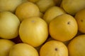 Lot of yellow melons Royalty Free Stock Photo