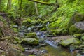 Lotenbach Gorge in Blach Forest, Germany Royalty Free Stock Photo