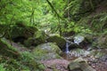 Lotenbach Gorge in Blach Forest, Germany