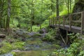 Lotenbach Gorge in Blach Forest, Germany