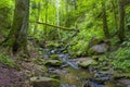 Lotenbach Gorge in Blach Forest, Germany Royalty Free Stock Photo