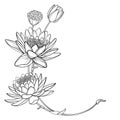 Vector corner bouquet of outline ornate Lotos or water lily flower, bud and seed pod in black isolated on white background.