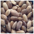 Lots of almond nuts (Prunus amygdalus) Royalty Free Stock Photo