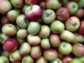 Lots of apples. Green and red apples. Apples on the counter in the supermarket. Background. Texture. Food. View from above. Royalty Free Stock Photo