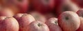 Lots of apples pink and red banner for website web design