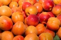 Lots of apricots. Fruit with a stone divided into 2 parts on the background of juicy apricots Royalty Free Stock Photo