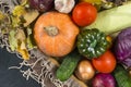 lots of autumn fresh vegetables, pumpkins, tomatoes, cabbage, zucchini, onions, dry fallen leaves, cucumber, garlic, top view Royalty Free Stock Photo