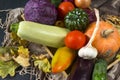 autumn fresh vegetables, pumpkins, tomatoes, cabbage, zucchini, onions, dry fallen leaves, cucumber, garlic, eggplant, Royalty Free Stock Photo