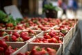 Lots of baskets with fresh ripe strawberries for sale at farmers market closeup. Strawberries in boxes, strawberry fruits in