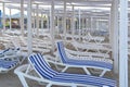 Lots of beach plastic white sun loungers. Royalty Free Stock Photo