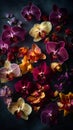 Lots of beautiful multicolored vibrant orchid flowers on black, lovely floral background,