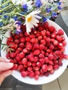 Strawberries on a table with wildflowers.