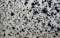 Lots of black mold spots on a light wall Royalty Free Stock Photo