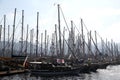 Lots of boats are moored to harbor in Yalikavak Marine.